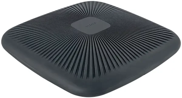 Leitz Ergo Active Wobble Cushion